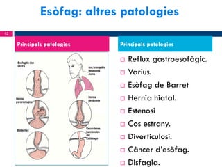 Esòfag: altres patologies
52

Principals patologies

Principals patologies












Reflux gastroesofàgic.
Varius.
Esòfag de Barret
Hernia hiatal.
Estenosi
Cos estrany.
Diverticulosi.
Càncer d’esòfag.
Disfagia.

 