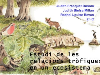 Estudi de les relacions tròfiques en un ecosistema Judith Franquet Busom Judith Bielsa Millan Rachel Louise Bevan 2n   C 