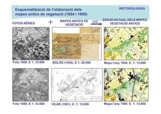 Esquematització de l’elaboració dels                                 METODOLOGIA
 mapes antics de vegetació (1954 i 1980)
...