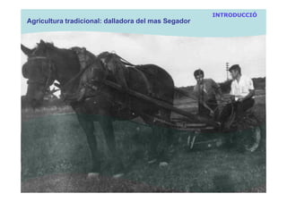 INTRODUCCIÓ
Agricultura tradicional: dalladora del mas Segador
 