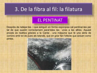 3. De la fibra al fil: la filatura
                            EL PENTINAT
Després de netejar-les i que estiguin en forma esponjosa cal pentinar-les per
tal de que quedin correctament paral·leles les unes a les altres. Aquest
procés es realitza gràcies a la Carda , una màquina que té una sèrie de
corrons amb tot de pues als laterals, que en girar fan l’efecte que actuen como
pintes.
 