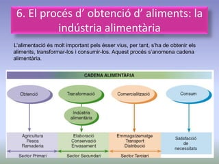 6. El procés d’ obtenció d’ aliments: la
          indústria alimentària
L’alimentació és molt important pels ésser vius, per tant, s’ha de obtenir els
aliments, transformar-los i consumir-los. Aquest procés s’anomena cadena
alimentària.
 