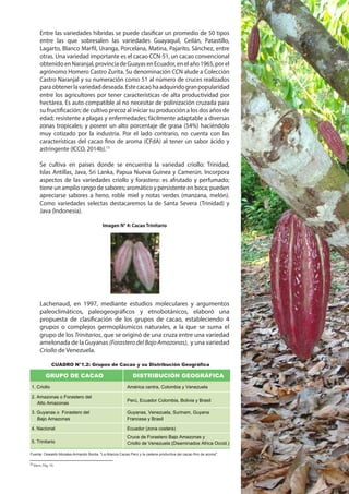 Estudio-cacao-Peru-y-Mundo.pdf