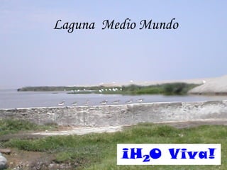 Laguna  Medio Mundo 