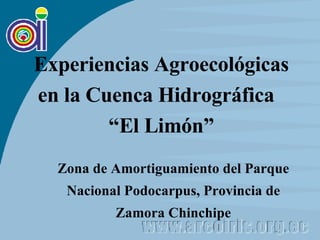 Experiencias Agroecológicas en la Cuenca Hidrográfica  “El Limón” Zona de Amortiguamiento del Parque Nacional Podocarpus, Provincia de Zamora Chinchipe 