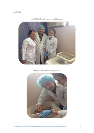 “Las mentes más profundas de todos los tiempos han sentido compasiónpor los animales”. 5
ANEXOS:
ANEXO 1: Nuestro grupo en el bioterio.
ANEXO 2: Determinación de glucosa
 