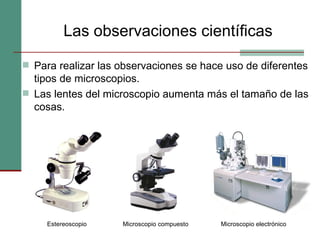Las observaciones científicas Para realizar las observaciones se hace uso de diferentes tipos de microscopios.  Las lentes del microscopio aumenta más el tamaño de las cosas. Microscopio compuesto Microscopio electrónico Estereoscopio 