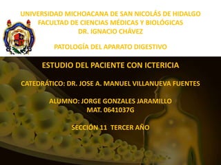 UNIVERSIDAD MICHOACANA DE SAN NICOLÁS DE HIDALGO
FACULTAD DE CIENCIAS MÉDICAS Y BIOLÓGICAS
DR. IGNACIO CHÁVEZ
PATOLOGÍA DEL APARATO DIGESTIVO
ESTUDIO DEL PACIENTE CON ICTERICIA
CATEDRÁTICO: DR. JOSE A. MANUEL VILLANUEVA FUENTES
ALUMNO: JORGE GONZALES JARAMILLO
MAT. 0641037G
SECCIÓN 11 TERCER AÑO
 