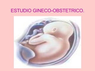 ESTUDIO GINECO-OBSTETRICO. 