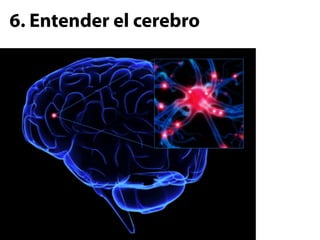 6. Entender el cerebro
 