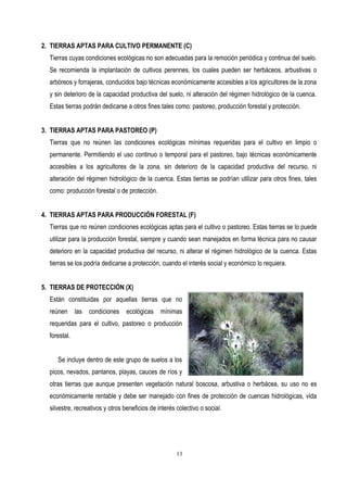 2. TIERRAS APTAS PARA CULTIVO PERMANENTE (C)
Tierras cuyas condiciones ecológicas no son adecuadas para la remoción periódica y continua del suelo.
Se recomienda la implantación de cultivos perennes, los cuales pueden ser herbáceos, arbustivas o
arbóreos y forrajeras, conducidos bajo técnicas económicamente accesibles a los agricultores de la zona
y sin deterioro de la capacidad productiva del suelo, ni alteración del régimen hidrológico de la cuenca.
Estas tierras podrán dedicarse a otros fines tales como: pastoreo, producción forestal y protección.
3. TIERRAS APTAS PARA PASTOREO (P)
Tierras que no reúnen las condiciones ecológicas mínimas requeridas para el cultivo en limpio o
permanente. Permitiendo el uso continuo o temporal para el pastoreo, bajo técnicas económicamente
accesibles a los agricultores de la zona, sin deterioro de la capacidad productiva del recurso, ni
alteración del régimen hidrológico de la cuenca. Estas tierras se podrían utilizar para otros fines, tales
como: producción forestal o de protección.
4. TIERRAS APTAS PARA PRODUCCIÓN FORESTAL (F)
Tierras que no reúnen condiciones ecológicas aptas para el cultivo o pastoreo. Estas tierras se lo puede
utilizar para la producción forestal, siempre y cuando sean manejados en forma técnica para no causar
deterioro en la capacidad productiva del recurso, ni alterar el régimen hidrológico de la cuenca. Estas
tierras se los podría dedicarse a protección, cuando el interés social y económico lo requiera.
5. TIERRAS DE PROTECCIÓN (X)
Están constituidas por aquellas tierras que no
reúnen las condiciones ecológicas mínimas
requeridas para el cultivo, pastoreo o producción
forestal.
Se incluye dentro de este grupo de suelos a los
picos, nevados, pantanos, playas, cauces de ríos y
otras tierras que aunque presenten vegetación natural boscosa, arbustiva o herbácea, su uso no es
económicamente rentable y debe ser manejado con fines de protección de cuencas hidrológicas, vida
silvestre, recreativos y otros beneficios de interés colectivo o social.
13
 