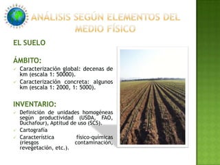 Imposibilidad de ser sustituido.