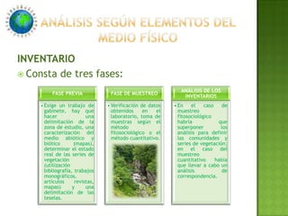 Realizable, Identificable y cuantificableLos indicadores de impacto pueden ser diseñados con dos enfoques:Reduccionista