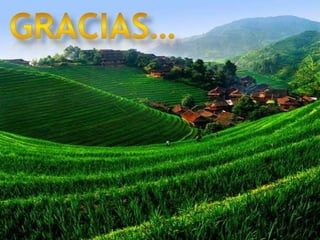 Consulta a paneles de expertos. Estas medidas se llevan acabo para:Medidas correctoras