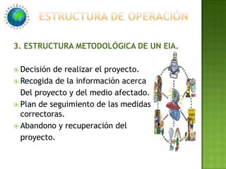 3. ESTRUCTURA METODOLÓGICA DE UN EIA.Decisión de realizar el proyecto.Recogida de la información acerca	Del proyecto y del medio afectado.Plan de seguimiento de las medidas correctoras.Abandono y recuperación del	proyecto.ESTRUCTURA DE OPERACIÓN