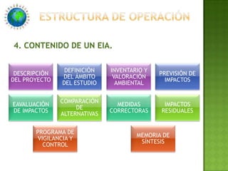 ESTRUCTURA DE OPERACIÓN4. CONTENIDO DE UN EIA.