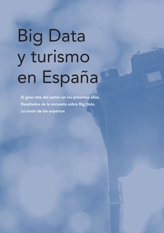Big Data
y turismo
en España
El gran reto del sector en los próximos años.		
Resultados de la encuesta sobre Big Data.
La visión de los expertos.
 