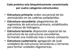 Cada proteína esta bioquímicamente caracterizada
por cuatro categorías estructurales:
• Estructura primaria: orden secuencial de los
aminoácidos en las cadenas polipéptidas.
• Estructura secundaria: plegamientos de
segmentos de estructura primaria, estabilizados
por enlaces de hidrogeno.
• Estructura ternaria: disposición espacial de las
estructura de las estructuras secundarias,
formando una molécula mas o menos compacta.
• Estructura cuaternaria: agregación de (sub-
unidades) de estructuras secundarias y ternarias
para formar unidades oligomericas.
 