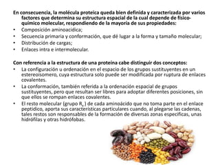 En consecuencia, la molécula proteica queda bien definida y caracterizada por varios
factores que determina su estructura espacial de la cual depende de físico-
químico molecular, respondiendo de la mayoría de sus propiedades:
• Composición aminoacidica;
• Secuencia primaria y conformación, que dé lugar a la forma y tamaño molecular;
• Distribución de cargas;
• Enlaces intra e intermolecular.
Con referencia a la estructura de una proteína cabe distinguir dos conceptos:
• La configuración u ordenación en el espacio de los grupos sustituyentes en un
estereoisomero, cuya estructura solo puede ser modificada por ruptura de enlaces
covalentes.
• La conformación, también referida a la ordenación espacial de grupos
sustituyentes, pero que resultan ser libres para adoptar diferentes posiciones, sin
que ellos se rompan enlaces covalentes.
• El resto molecular (grupo Rx ) de cada aminoácido que no toma parte en el enlace
peptidico, aporta sus características particulares cuando, al plegarse las cadenas,
tales restos son responsables de la formación de diversas zonas especificas, unas
hidrófilas y otras hidrófobas.
 