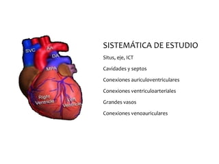 SISTEMÁTICA DE ESTUDIO
Situs, eje, ICT
Cavidades y septos
Conexiones auriculoventriculares
Conexiones ventriculoarteriales
Grandes vasos
Conexiones venoauriculares
 
