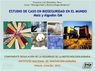 Proyecto LAC-Biosafety, Perú Curso “Bioseguridad y Biotecnología Moderna” ESTUDIO DE CASO EN BIOSEGURIDAD EN EL MUNDO Maíz y Algodón GM COMPONENTE REGULACIÓN DE LA SEGURIDAD DE LA BIOTECNOLOGÍA AGRARIA INSTITUTO NACIONAL DE INNOVACIÓN AGRARIA UNALM, Lima-Dic. 2010 