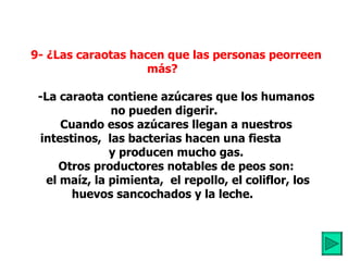           9- ¿Las caraotas hacen que las personas peorreen más?            -La caraota contiene azúcares que los humanos no pueden digerir.          Cuando esos azúcares llegan a nuestros intestinos,  las bacterias hacen una fiesta           y producen mucho gas.          Otros productores notables de peos son: el maíz, la pimienta,  el repollo, el coliflor, los huevos sancochados y la leche.         