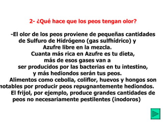          2- ¿Qué hace que los peos tengan olor?            -El olor de los peos proviene de pequeñas cantidades de Sulfuro de Hidrógeno (gas sulfhídrico) y Azufre libre en la mezcla.          Cuanta más rica en Azufre es tu dieta, más de esos gases van a          ser producidos por las bacterias en tu intestino, y más hediondos serán tus peos.          Alimentos como cebolla, coliflor, huevos y hongos son notables por producir peos repugnantemente hediondos.          El frijol, por ejemplo, produce grandes cantidades de peos no necesariamente pestilentes (inodoros) 