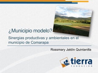 ¿Municipio modelo?
Sinergias productivas y ambientales en el
municipio de Comarapa
                        Rossmary Jaldín Quintanilla
 