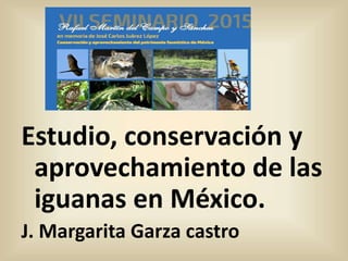 Estudio, conservación y
aprovechamiento de las
iguanas en México.
J. Margarita Garza castro
 