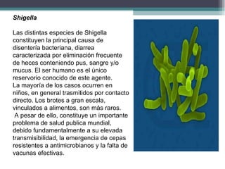 Shigella Las distintas especies de Shigella constituyen la principal causa de disentería bacteriana, diarrea caracterizada por eliminación frecuente de heces conteniendo pus, sangre y/o mucus. El ser humano es el único reservorio conocido de este agente.  La mayoría de los casos ocurren en niños, en general trasmitidos por contacto directo. Los brotes a gran escala, vinculados a alimentos, son más raros. A pesar de ello, constituye un importante problema de salud publica mundial, debido fundamentalmente a su elevada transmisibilidad, la emergencia de cepas resistentes a antimicrobianos y la falta de vacunas efectivas. 