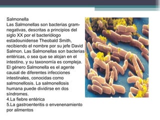 Salmonella Las Salmonellas son bacterias gram-negativas, descritas a principios del siglo XX por el bacteriólogo estadounidense Theobald Smith, recibiendo el nombre por su jefe David Salmon. Las Salmonellas son bacterias entéricas, o sea que se alojan en el intestino, y su taxonomía es compleja.  El género Salmonella es el agente causal de diferentes infecciones intestinales, conocidas como salmonellosis. La salmonellosis humana puede dividirse en dos síndromes. La fiebre entérica La gastroenteritis o envenenamiento por alimentos 
