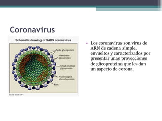 Coronavirus Los coronavirus son virus de ARN de cadena simple, envueltos y caracterizados por presentar unas proyecciones de glicoproteína que les dan un aspecto de corona. 