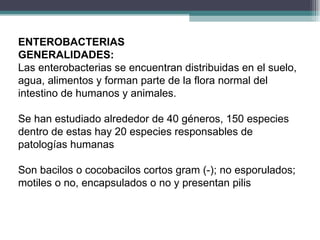 ENTEROBACTERIAS GENERALIDADES:  Las enterobacterias se encuentran distribuidas en el suelo, agua, alimentos y forman parte de la flora normal del intestino de humanos y animales. Se han estudiado alrededor de 40 géneros, 150 especies dentro de estas hay 20 especies responsables de patologías humanas Son bacilos o cocobacilos cortos gram (-); no esporulados; motiles o no, encapsulados o no y presentan pilis 