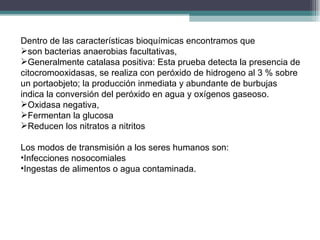Dentro de las características bioquímicas encontramos que  son bacterias anaerobias facultativas,  Generalmente catalasa positiva: Esta prueba detecta la presencia de citocromooxidasas, se realiza con peróxido de hidrogeno al 3 % sobre un portaobjeto; la producción inmediata y abundante de burbujas indica la conversión del peróxido en agua y oxígenos gaseoso. Oxidasa negativa,  Fermentan la glucosa  Reducen los nitratos a nitritos Los modos de transmisión a los seres humanos son: Infecciones nosocomiales Ingestas de alimentos o agua contaminada. 