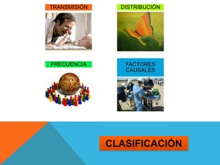 CLASIFICACIÓN