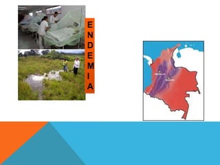 ENDEMIA