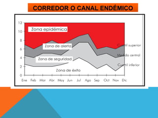 Corredor O CANAL endémico