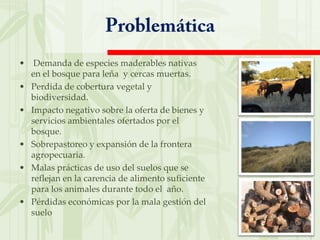 Janley Roger LeyvaEstudio de CasoEvaluación integrada del proyecto de cercas vivas y rotación de praderas en el Valle de Cocora (Quindío).