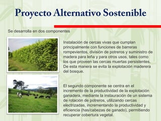 Descripción del casoEn el valle de Cocora, en Salento, Quindio, se ha desarrollado tradicionalmente prácticas de producción agropecuaria tradicional.   La ganadería extensiva ha competido con la conservación de los ecosistemas naturales (incluso con áreas naturales protegidas como la zona de amortiguamiento del PNN lo Nevados). Esta competencia, afectara a largo plazo no solo la cobertura vegetal y especies utilizadas, sino también la oferta de bienes y servicios ambientales que permiten la calidad de vida de las poblaciones asentadas en la zona y la permanencia de sus sistemas productivos.   