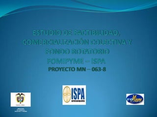 Estudio de Factibilidad,  comercialización colectiva Y  Fondo RotatorioFomipyme – Ispa proyecto mn – 063-8 MINISTERIO DE COMERCIO, INDUSTRIA Y TURISMO 