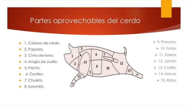 La osteocondrosis el régimen la mesa