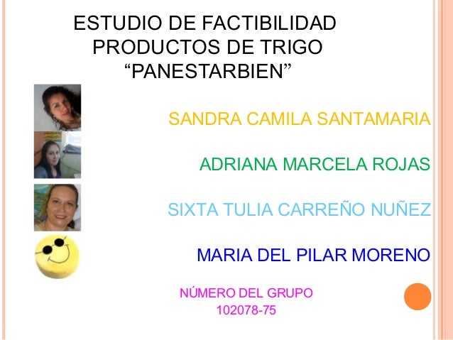 pic Derivados Del Trigo Imagenes estudio de factibilidad productos