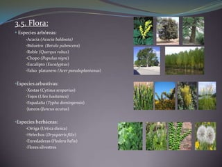 Estudio de impacto ambiental edar (reza) | PPTX