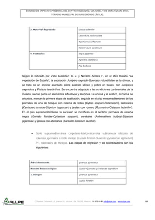 ESTUDIO DE IMPACTO AMBIENTAL DEL CENTRO RELIGIOSO, CULTURAL Y DE OBRA SOCIAL EN EL
TÉRMINO MUNICIPAL DE BURGOHONDO (ÁVILA).

Según lo indicado por Valle Gutiérrez, C. J. y Navarro Andrés F. en el libro titulado “La
vegetación de España”, la asociación Junipero oxycedri-Querceto rotundifoliae es la clímax, y
se trata de un encinar asentado sobre sustrato silíceo y pobre en bases, con Juniperus
oxycedrus y Pistacia terebinthus. Se encuentra adaptado a las condiciones continentales de la
meseta, siendo pobre en elementos arbustivos y lianoides. La encina y el enebro, en forma de
arbustos, marcan la primera etapa de sustitución, seguida en el piso mesomediterráneo de los
piornales de orla de bosque con retama de bolas (Cytiso scoparii-Retametum), lastonares
(Centaureo ornatae-Stipetum lagascae) y jarales con romero (Rosmarino-Cistetum ladaniferi).
En el piso supramediterráneo, la sucesión se modifican en el sentido: piornales de escoba
negra (Genisto floridae-Cytisetum scoparri), verséales (Arrhenathero bulbosi-Stipetum
giganteae) y jarales con abrótanos (Santolito-Cistetum laurifolii).

Serie supramediterránea carpetano-ibérico-alcarreña subhúmeda silicícola de

Quercus pyrenaica o roble melojo (Luzulo forsteri-Querceto pyrenaicae sigmetum)
VP, robledales de melojos. Las etapas de regresión y los bioindicadores son los
siguientes:

C/ Isabel Colbrand 10, planta 5ª, oficina 134, 28050, Madrid. 91 570 49 81 info@allpe.com - www.allpe.com

60

 