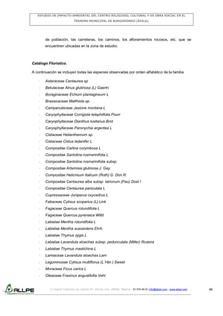 ESTUDIO DE IMPACTO AMBIENTAL DEL CENTRO RELIGIOSO, CULTURAL Y DE OBRA SOCIAL EN EL
TÉRMINO MUNICIPAL DE BURGOHONDO (ÁVILA).

de población, las carreteras, los caminos, los afloramientos rocosos, etc, que se
encuentren ubicadas en la zona de estudio.

Catálogo Florístico.
A continuación se incluyen todas las especies observadas por orden alfabético de la familia
-

Asteraceae Centaurea sp

-

Betulaceae Alnus glutinosa (L) Gaertn

-

Boraginaceae Echium plantagineum L

-

Brassicaceae Matthiola sp.

-

Campanulaceae Jasione montana L

-

Caryophyllaceae Corrigiola telephiifolia Pourr

-

Caryophyllaceae Dianthus lusitanus Brot

-

Caryophyllaceae Paronychia argentea L

-

Cistaceae Helianthemum sp.

-

Cistaceae Cistus ladanifer L

-

Compositae Carlina corymbosa L

-

Compositae Santolina rosmarinifolia L

-

Compositae Santolina rosmarinifolia subsp.

-

Compositae Artemisia glutinosa J. Gay

-

Compositae Helicrisum italicum (Roth) G. Don fil

-

Compositae Centaurea alba subsp. latronum (Pau) Dost I

-

Compositae Centaurea paniculata L

-

Cupressaceae Juniperus oxycedrus L

-

Fabaceae Cytisus scoparius (L) Link

-

Fagaceae Quercus rotundifolia L

-

Fagaceae Quercus pyrenaica Willd

-

Labiatae Mentha rotundifolia L

-

Labiatae Mentha suaveolens Ehrh.

-

Labiatae Thymus zygis L

-

Labiatae Lavandula stoechas subsp. pedunculata (Miller) Rozeira

-

Labiatae Thymus mastichina L

-

Lamiaceae Lavandula stoechas Lam

-

Leguminosae Cytisus multiflorus (L´Hér.) Sweet

-

Moraceae Ficus carica L

-

Oleaceae Fraxinus angustilofia Vahl

C/ Isabel Colbrand 10, planta 5ª, oficina 134, 28050, Madrid. 91 570 49 81 info@allpe.com - www.allpe.com

66

 