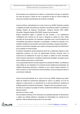 ESTUDIO DE IMPACTO AMBIENTAL DEL CENTRO RELIGIOSO, CULTURAL Y DE OBRA SOCIAL EN EL
TÉRMINO MUNICIPAL DE BURGOHONDO (ÁVILA).

Sus amenazas son la destrucción de riberas, la contaminación del agua, la alteración
de cursos de arroyos y riberas de ríos, la extracción de agua en cursos iniciales de
arroyos de montaña, las plantaciones de coníferas y eucaliptos

-

Lacerta monticola está tipificada en el anexo 5 de la Ley 42/2007 “Especies animales
y vegetales de interés comunitario que requieren una protección estricta” y pertenece al
Catálogo Español de Especies Amenazadas. Categoría Mundial IUCN (2008):
Vulnerable. Categoría España IUCN (2002): Especie casi amenazada
Especie típicamente ligada a roquedos de alta montaña, y con adaptaciones
morfológicas para moverse por las rocas y refugiarse en grietas de rocas. Utiliza
canchales de rocas grandes, con matorrales y pastizales, pero a nivel de selección de
microhábitats evita algunos matorrales y los pastizales, y prefiere los roquedos. En la
Cordillera Cantábrica ocupa también rocas dentro de brezales y bosques caducifolios.
Grado de conservación aceptable, pero existen amenazas derivadas de la destrucción
de sus hábitats en la alta montaña.
El carácter vulnerable de ciertas poblaciones deriva de su aislamiento respecto a otras
poblaciones próximas, así como de determinadas acciones humanas como la
construcción de instalaciones de esquí que alteran su hábitat de modo irreversible,
turismo excesivo (senderismo y escalada) y plantaciones forestales. Se sugiere que se
tomen medidas activas para su conservación.
La principal posible afección de estas especies es la pérdida de hábitat. Los hábitats de
estos reptiles se ven respetados en la ubicación de las instalaciones proyectadas, los
múltiples afloramientos graníticos y roquedos no van a recibir ninguna actuación. Lo
mismo sucede en el caso concreto de Lacerta schreiberi, ya que el bosque de ribera va
a permanecer inalterado.

-

Ciconia ciconia está tipificada en el anexo 5 de la Ley 42/2007 “Especies que serán
objeto de medidas de conservación especiales en cuanto a su hábitat, con el fin de
asegurar su supervivencia y su reproducción en su área de distribución” pertenece al
Catálogo Español de Especies Amenazadas. Categoría IUCN “preocupación menor”.
Se trata de una especie muy ligada al hombre, ampliamente distribuida en la península
ibérica principLIC
almente en el centro y oeste.
Sus principales amenazas son la intoxicación por pesticidas agrícolas, la electrocución
y colisión con tendidos eléctricos, amputación de extremidades con cuerdas de uso
agrícola y falta de árboles de gran porte en los que anidar.

C/ Isabel Colbrand 10, planta 5ª, oficina 134, 28050, Madrid. 91 570 49 81 info@allpe.com - www.allpe.com

71

 