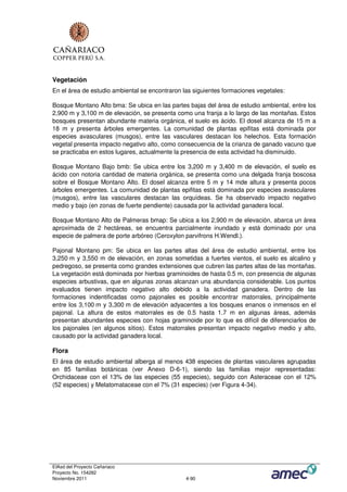 Vegetación
En el área de estudio ambiental se encontraron las siguientes formaciones vegetales:

Bosque Montano Alto bma: Se ubica en las partes bajas del área de estudio ambiental, entre los
2,900 m y 3,100 m de elevación, se presenta como una franja a lo largo de las montañas. Estos
bosques presentan abundante materia orgánica, el suelo es ácido. El dosel alcanza de 15 m a
18 m y presenta árboles emergentes. La comunidad de plantas epifitas está dominada por
especies avasculares (musgos), entre las vasculares destacan los helechos. Esta formación
vegetal presenta impacto negativo alto, como consecuencia de la crianza de ganado vacuno que
se practicaba en estos lugares, actualmente la presencia de esta actividad ha disminuido.

Bosque Montano Bajo bmb: Se ubica entre los 3,200 m y 3,400 m de elevación, el suelo es
ácido con notoria cantidad de materia orgánica, se presenta como una delgada franja boscosa
sobre el Bosque Montano Alto. El dosel alcanza entre 5 m y 14 mde altura y presenta pocos
árboles emergentes. La comunidad de plantas epifitas está dominada por especies avasculares
(musgos), entre las vasculares destacan las orquídeas. Se ha observado impacto negativo
medio y bajo (en zonas de fuerte pendiente) causada por la actividad ganadera local.

Bosque Montano Alto de Palmeras bmap: Se ubica a los 2,900 m de elevación, abarca un área
aproximada de 2 hectáreas, se encuentra parcialmente inundado y está dominado por una
especie de palmera de porte arbóreo (Ceroxylon parvifrons H.Wendl.).

Pajonal Montano pm: Se ubica en las partes altas del área de estudio ambiental, entre los
3,250 m y 3,550 m de elevación, en zonas sometidas a fuertes vientos, el suelo es alcalino y
pedregoso, se presenta como grandes extensiones que cubren las partes altas de las montañas.
La vegetación está dominada por hierbas graminoides de hasta 0.5 m, con presencia de algunas
especies arbustivas, que en algunas zonas alcanzan una abundancia considerable. Los puntos
evaluados tienen impacto negativo alto debido a la actividad ganadera. Dentro de las
formaciones indentificadas como pajonales es posible encontrar matorrales, principalmente
entre los 3,100 m y 3,300 m de elevación adyacentes a los bosques enanos o inmensos en el
pajonal. La altura de estos matorrales es de 0.5 hasta 1.7 m en algunas áreas, además
presentan abundantes especies con hojas graminoide por lo que es difícil de diferenciarlos de
los pajonales (en algunos sitios). Estos matorrales presentan impacto negativo medio y alto,
causado por la actividad ganadera local.

Flora
El área de estudio ambiental alberga al menos 438 especies de plantas vasculares agrupadas
en 85 familias botánicas (ver Anexo D-6-1), siendo las familias mejor representadas:
Orchidaceae con el 13% de las especies (55 especies), seguido con Asteraceae con el 12%
(52 especies) y Melatomataceae con el 7% (31 especies) (ver Figura 4-34).




EIAsd del Proyecto Cañariaco
Proyecto No. 154282
Noviembre 2011                                  4-90
 