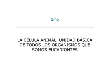 Smp LA CÉLULA ANIMAL, UNIDAD BÁSICA DE TODOS LOS ORGANISMOS QUE SOMOS EUCARIONTES 