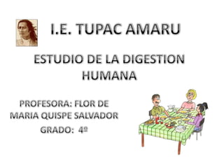 I.E. TUPAC AMARU ESTUDIO DE LA DIGESTION HUMANA PROFESORA: FLOR DE MARIA QUISPE SALVADOR GRADO:  4º  