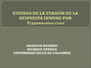 MADELYN ROMERO
RICARDO CUBIDES
UNIVERSIDAD INCCA DE COLOMBIA
 
